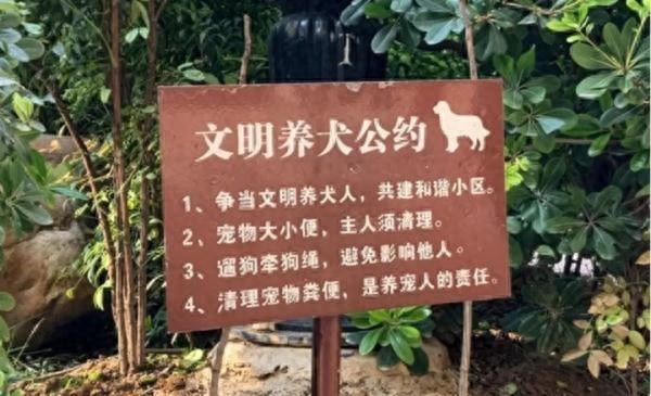 郑州全市严查不文明养犬！