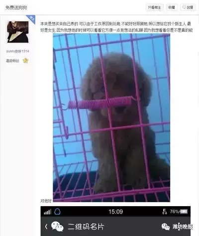 送养猫狗为幌骗托运费有不少人中招被骗！