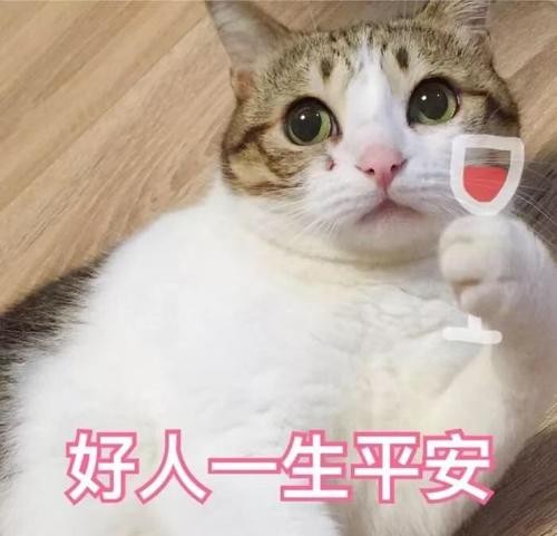 猫粮选购攻略｜5款30元左右一斤的猫粮测评