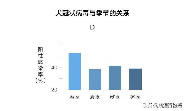 狗狗冠状病毒是什么急性肠炎元凶可能是它